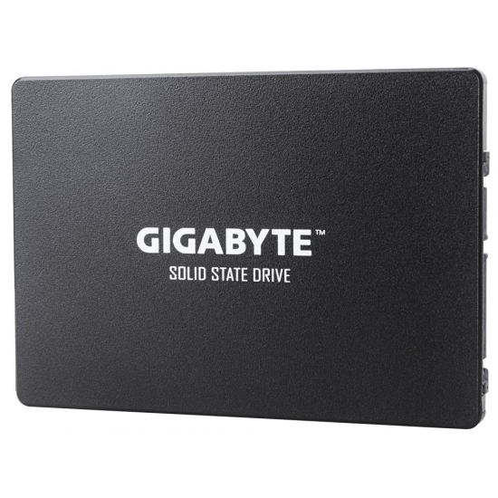 Dysk Gigabyte GP-GSTFS31256GTND (256 GB ; 2.5