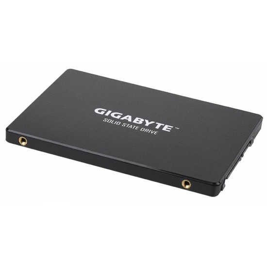 Dysk Gigabyte GP-GSTFS31256GTND (256 GB ; 2.5