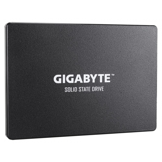 Dysk Gigabyte GP-GSTFS31256GTND (256 GB ; 2.5